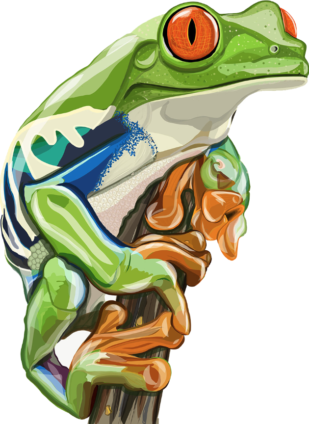 Frog