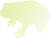 Anura