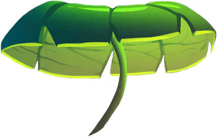 Right leaf